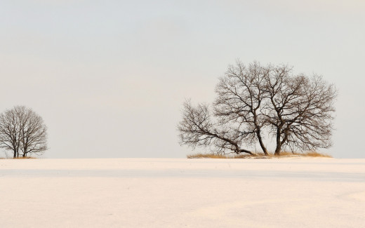 342854 (a): :1680x1050